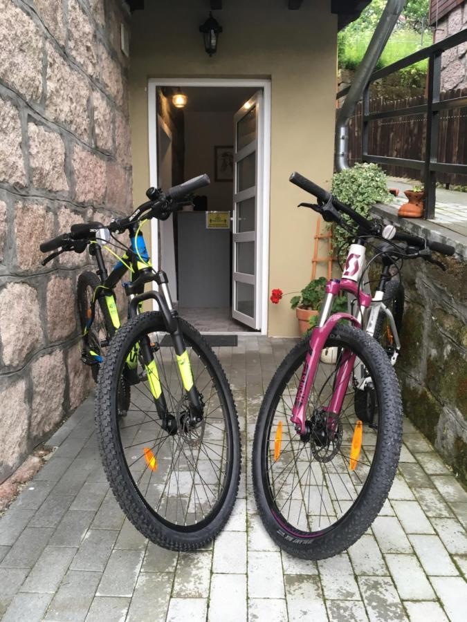 Casa Karola Haz Bed & Breakfast BaileTusnad Exterior foto