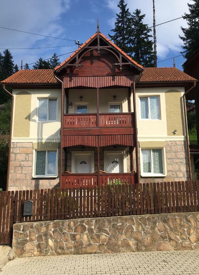 Casa Karola Haz Bed & Breakfast BaileTusnad Exterior foto